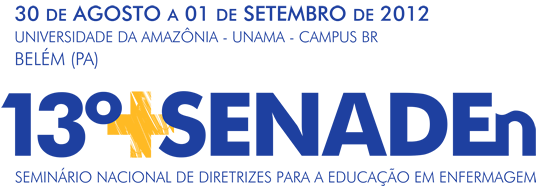 13º SENADEn - Apresentação