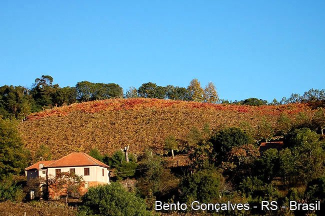 Visite Bento Gonçalves - Serra Gaúcha - Pura Inspiração